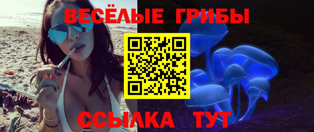 Псилоцибиновые грибы мицелий Чайковский